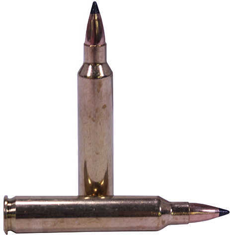 Nosler Varmageddon Rifle Ammunition 204 Ruger 32 Grain VG FBT 20 Rounds Model: 65115