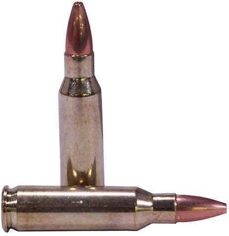 Nosler Varmegeddon Rifle Ammunition .221 Rem Fireball 40 Gr FBHP 3100 Fps - 20/Box