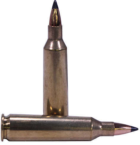 Nosler Varmageddon 22-250  Remington Flat Base Tip 55 Gr 3550 Fps 20 Rounds Per Box