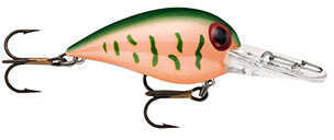 STORM ORG WGGLE WART 05 MISSOU CRAW