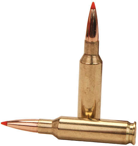 6.5 Creedmoor 120 Grain Ballistic Tip 20 Rounds Hornady Ammunition