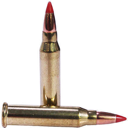 17 Win Super Mag 20 Grain Ballistic Tip 50 Rounds Winchester Ammunition