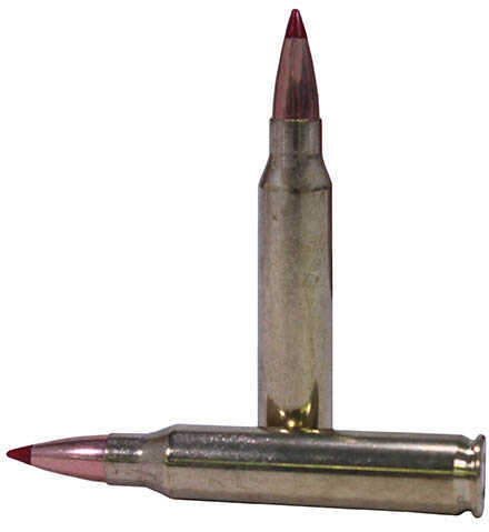 223 Rem 73 Grain Ballistic Tip 20 Rounds Hornady Ammunition 223 Remington