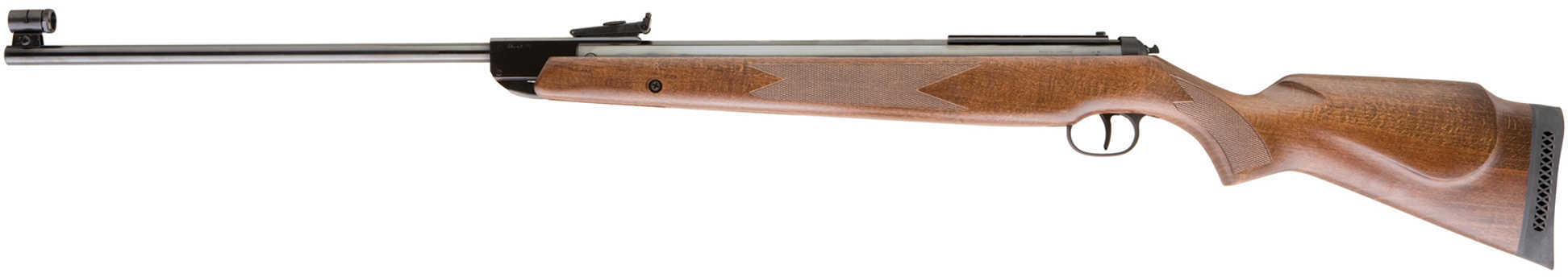 RWS Model 350 Air Rifle .22
