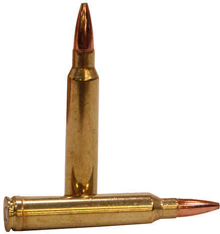 Federal Fusion Rifle Ammo 300 Win Mag 165 gr. Fusion Soft Point 20 rd. Model: F300WFS2