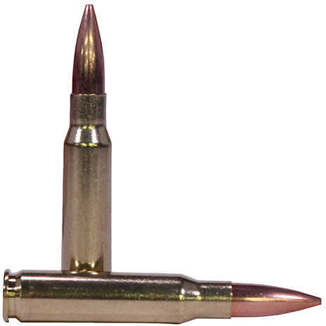 Federal Premium Gold Medal Sierra Matchking Rifle Ammunition .308 Win 175 Gr BTHP 2600 Fps - 20/Box