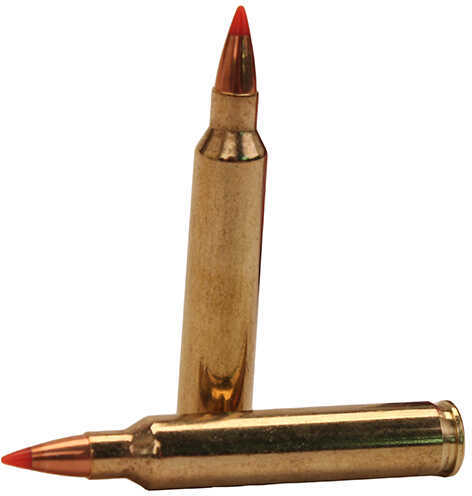 Hornady Varmint Express Rifle  Ammunition .204 Ruger 32 Gr V-Max 4225 Fps - 20/Box