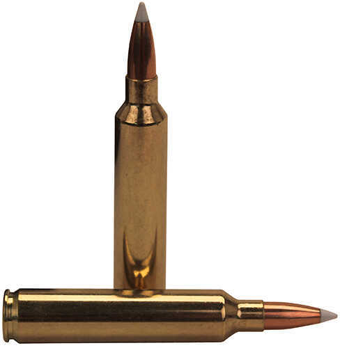 Nosler Trophy Grade Rifle Ammunition 28 160Gr Accubond 20/Box