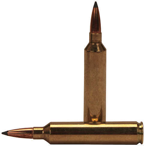 Nosler Trophy Grade Long Range Rifle Ammunition 26 Nosler 142 gr. ABLR SP 20 rd. Model: 60122