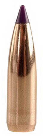 Nosler Bullets 6MM .243 80 Grains Ballistic Tip 100CT