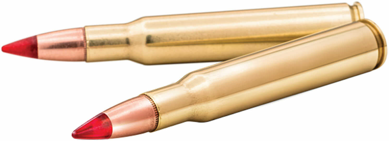 Hornady Unprimed Brass Rifle Cartridge Cases .204 Ruger 50/ct
