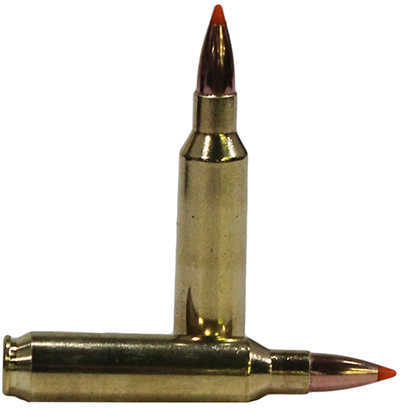 22 Nosler 55 Grain Ballistic Tip 20 Rounds Ammunition