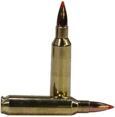 22 Nosler 55 Grain Ballistic Tip 20 Rounds Ammunition