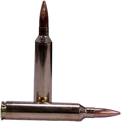 26 Nosler 140 Grain Hollow Point 20 Rounds Ammunition