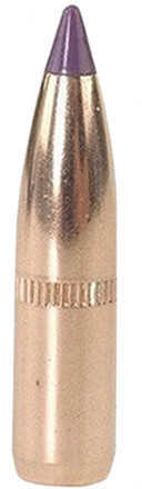 Nosler Ballistic Tip Hunting Bullets 6mm .243" 90 Gr SBT-BTip 50/ct