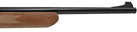 Daisy Boy Scout Pump .177 Pellet/BB Air Rifle, Brown Synthetic Stock Md: BSAK1910603