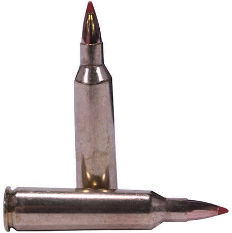 22-250 Rem 40 Grain Ballistic Tip 20 Rounds Nosler Ammunition Remington