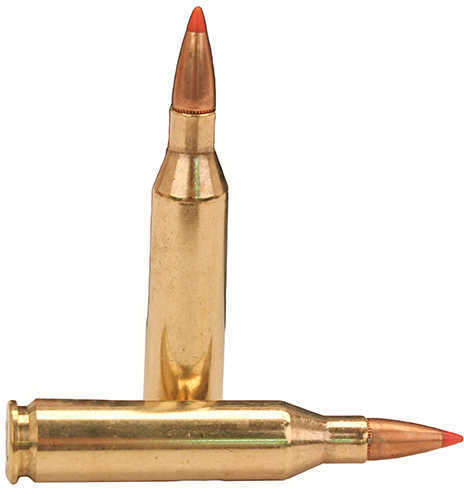 FIOCCHI 243 WIN 95GR SST 20/BX