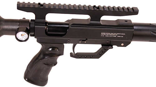 Gamo Tc 45 Big Bore Pcp Air Rifle 45 Caliber 900fps 5844658 Lg Outdoors