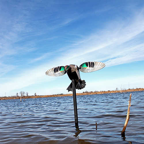 MOJO Elite Series Spinning Wing Decoy - Green Teal