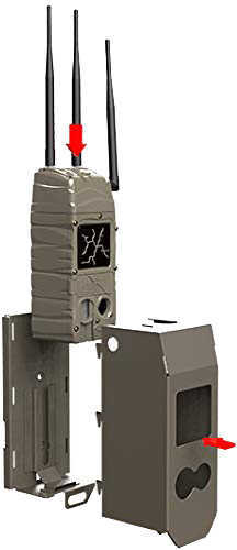 Cudde Back Cuddelink Bear Safe G Series Model: 3419