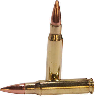 223 Rem 55 Grain Full Metal Jacket 20 Rounds Sig Sauer Ammunition 223 Remington
