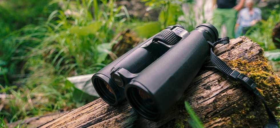 Zeiss Victory Binoculars SF 6X42 Black