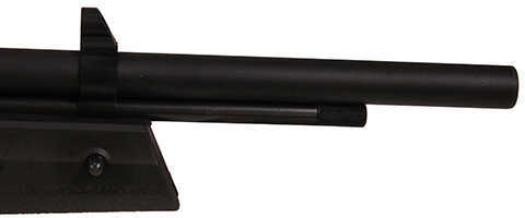 ATI Nova Vista Freedom .177Cal 1000Fps Pump