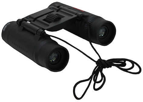 Tasco 10x 25mm Binoculars Black Roof Multi-Coated