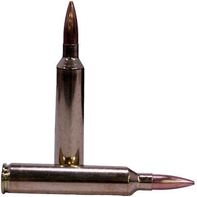 26 Nosler 140 Grain Hollow Point 20 Rounds Ammunition