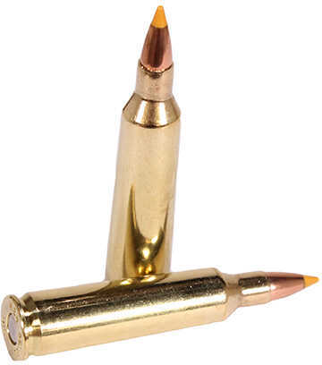 22-250 Rem 40 Grain Tipped Hollow Point 20 Rounds Sig Sauer Ammunition Remington