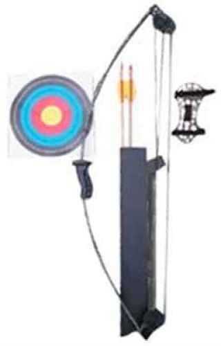 Arrow Precision Puma Set 15# Compound Youth Archery Set