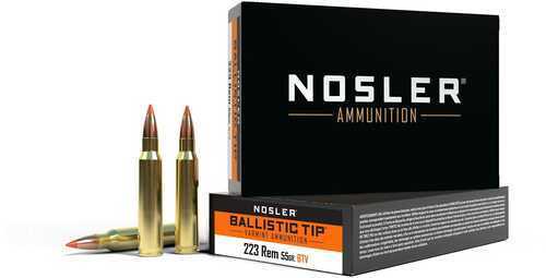 223 Rem 55Gr Ballistic Tip (20 ct.) Ammunition