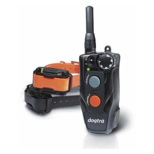 DogTRA 202C Compact Trainer