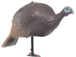 Carry-Lite Easy Fold Alert Hen Turkey Decoy