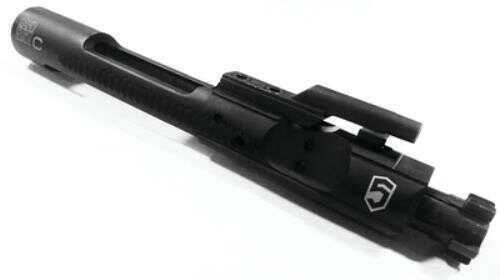 AR-15 Chrome Lined Bolt Carrier Group Black