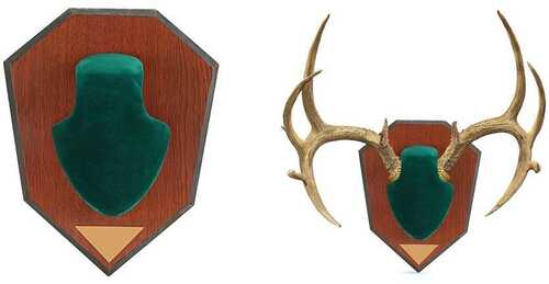Allen Antler Mounting Kit - Green Skull