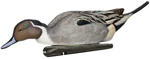 Avian-X Topflight Pintails Duck Decoys 6/ct