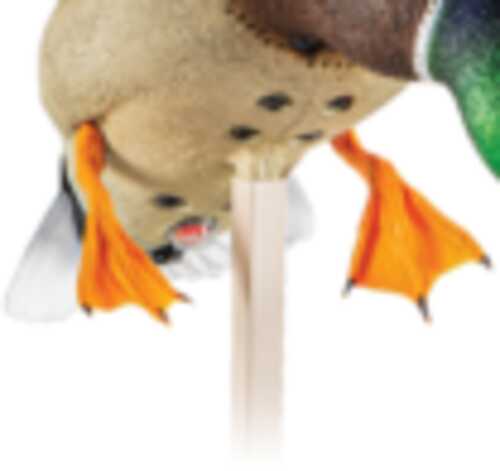 Avian-X Powerflight Replacement Stake Only