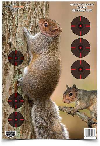 Birchwood Casey Pregame Target - 12"x18" Squirrel 8 Pack
