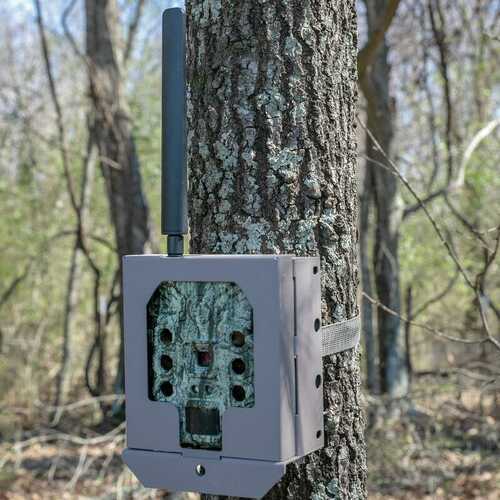 Bushnell Camera Security Box For (Cellular) CelluC-img-0