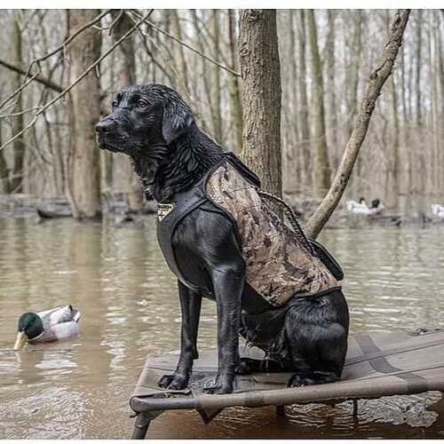 Higdon Outdoors Versa Vest Dog Vest Mossy Oak Bottomland
