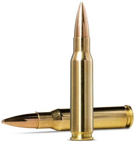 Norma Golden Target Match Rifle Ammunition .308 Win 175Gr HPBT 2610 Fps 20/ct