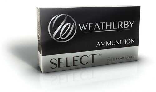 6.5-300 Wby Mag 140 Gr Soft Point
