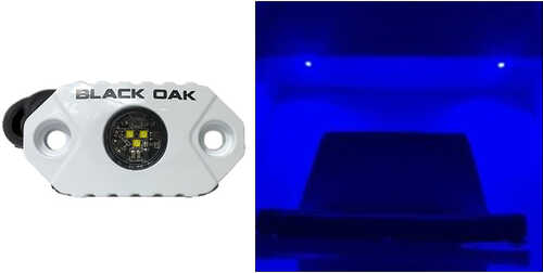 Black Oak Rock Accent Light - Blue White Housing-img-0