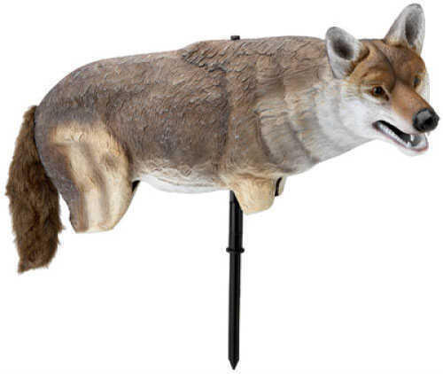 Edge Yote Coyote Decoy Life-Sized Lightweight - Gives The a Sense Of “Ease” Seeing Another