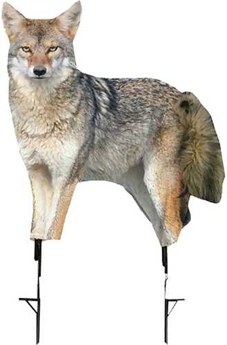 Montana Decoy Coyote Song Dog 