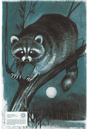 Maple Leaf Authentic Animal Faces 12''x18'' Raccoon