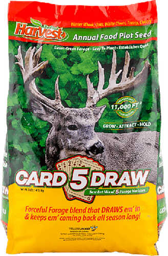 Evolved 5 Card Draw Seed 10 lb.
