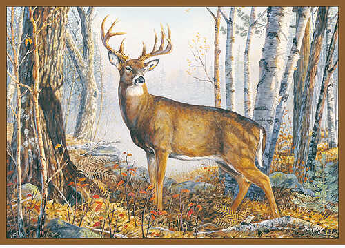 Custom Printed Rug Whitetail Deer